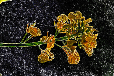 Arte digital titulada "Flor sobre negro" por Francisco Lopez Bermudez, Obra de arte original, Pintura Digital