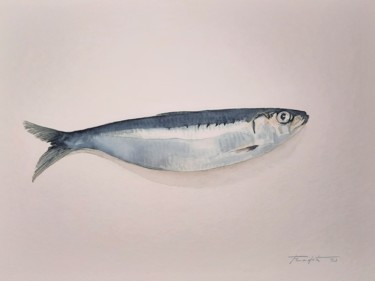 Schilderij getiteld "Sardine" door Francisco Cadete, Origineel Kunstwerk, Aquarel