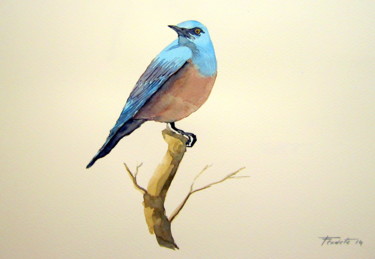 Peinture intitulée "melro azul" par Francisco Cadete, Œuvre d'art originale, Aquarelle