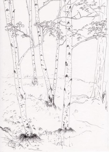 Pintura intitulada "Birch`s Covão da Am…" por Francis Semog, Obras de arte originais