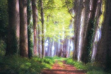 Photographie intitulée "forêt colorée" par Francis Vansteenwinckel, Œuvre d'art originale