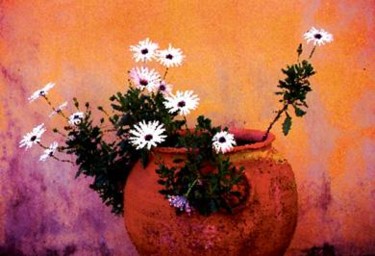 Photographie intitulée "fleurs 3" par Francis Vansteenwinckel, Œuvre d'art originale