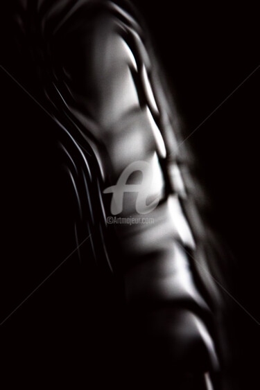 Photography titled "Backbone" by Franck Belloeil, Original Artwork, Digital Photography Mounted on Aluminium