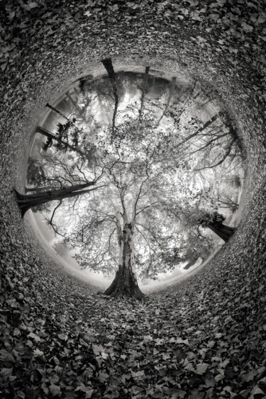 Photographie intitulée "Hemicycle" par Franck Charles, Œuvre d'art originale, Photographie numérique