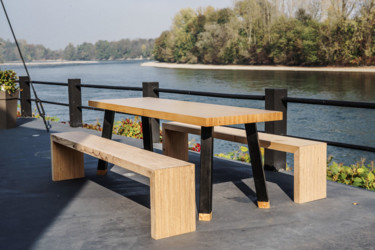 Design intitulée "table design bôbuche" par Franck Duperray, Œuvre d'art originale, Meuble