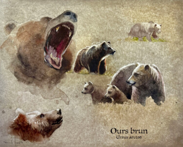 Schilderij getiteld "Ours bruns" door Franck Herete, Origineel Kunstwerk, Aquarel