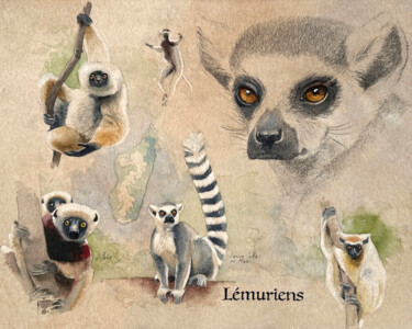 Peinture intitulée "Lémuriens" par Franck Herete, Œuvre d'art originale, Aquarelle