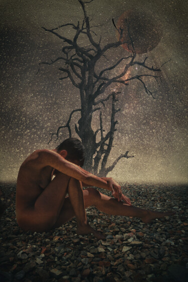 Arts numériques intitulée "L'arbre des rêves" par Franck Rozet, Œuvre d'art originale, Photo montage Monté sur Aluminium