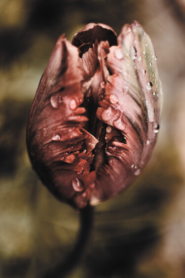 Photographie intitulée "En coeur n°1/9" par Franck Sanyas, Œuvre d'art originale, Photographie numérique