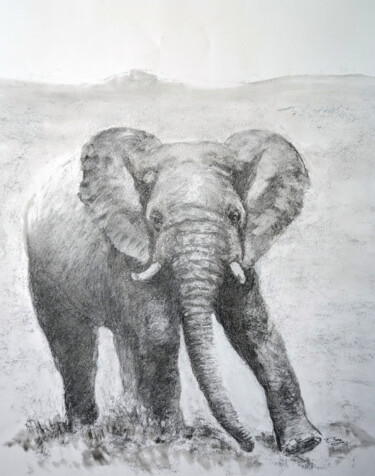 Tekening getiteld "Elephant" door Franck Sanz, Origineel Kunstwerk, Houtskool