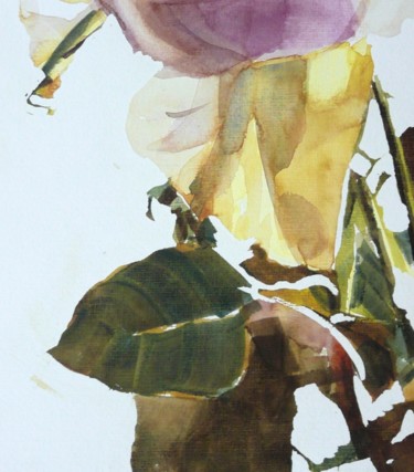 Painting titled "Rose diaphane II" by Franck Le Boulicaut, Original Artwork, Watercolor