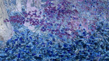 Фотография под названием "automne bleu 2" - Franck Werner, Подлинное произведение искусства, Манипулированная фотография
