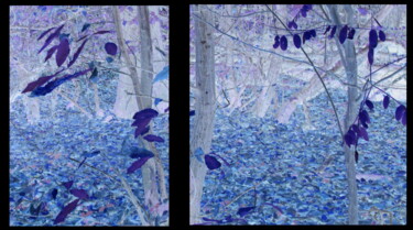 Photographie intitulée "automne bleu3" par Franck Werner, Œuvre d'art originale, Photographie manipulée