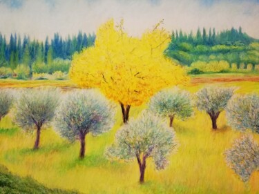 Pittura intitolato "Luce su gli alberi" da Franco Forante, Opera d'arte originale, Olio