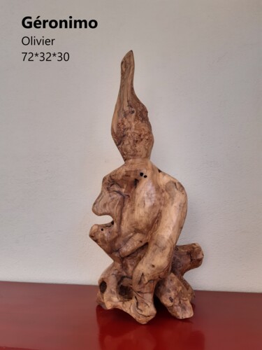 Sculptuur getiteld "Geronimo" door Francois Lagier, Origineel Kunstwerk, Hout