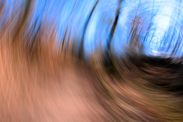 Fotografia zatytułowany „Sentier des ombres” autorstwa François Tondeur, Oryginalna praca