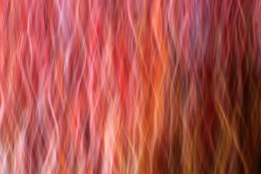 Ondes vibrales II Photographie intitulée "Ondes vibrales II" par François Tondeur, Œuvre d'art originale, Light Painting