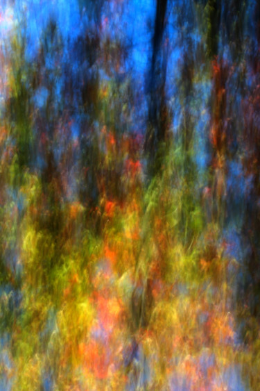 Photographie intitulée "Forêt extraordinaire" par François Tondeur, Œuvre d'art originale, Light Painting