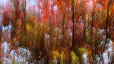 Photography titled "Nature vibrante" by François Tondeur, Original Artwork, Non Manipulated Photography