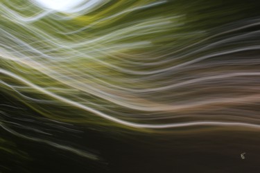 摄影 标题为“Energies vitales (V…” 由François Tondeur, 原创艺术品, 光绘摄影