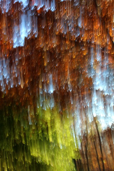 Photographie intitulée "Forêt de cristaux" par François Tondeur, Œuvre d'art originale