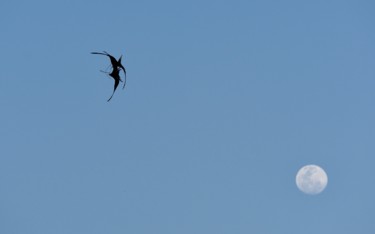 Fotografie mit dem Titel "jeux de lune" von François Carage, Original-Kunstwerk, Nicht bearbeitete Fotografie