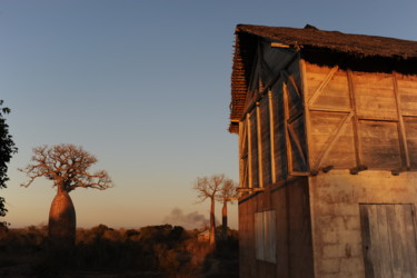 Fotografie mit dem Titel "baobab" von François Carage, Original-Kunstwerk, Nicht bearbeitete Fotografie
