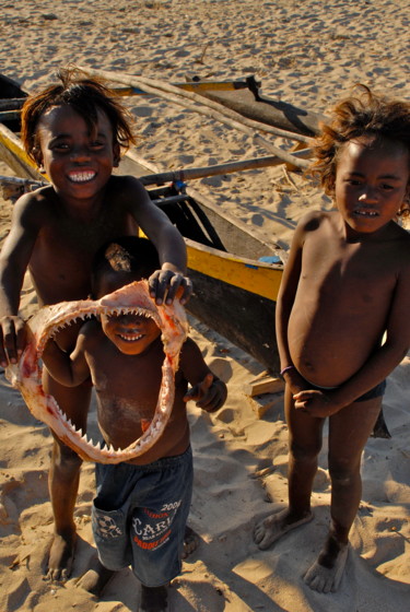 Fotografia intitulada "requin" por François Carage, Obras de arte originais