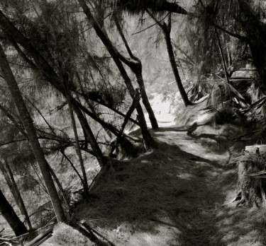 Photographie intitulée "chemin des porteurs" par François Carage, Œuvre d'art originale, Photographie non manipulée