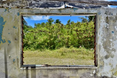 Fotografia intitulada "tapisserie" por François Carage, Obras de arte originais, Fotografia Não Manipulada