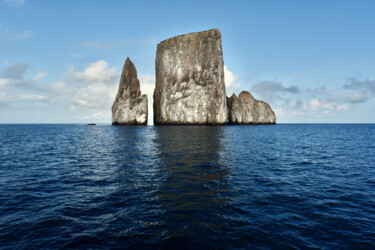 Photographie intitulée "Galapagos" par François Carage, Œuvre d'art originale, Photographie non manipulée