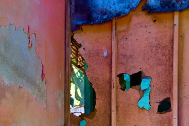 Photographie intitulée "rose vert et bleu" par François Carage, Œuvre d'art originale, Photographie non manipulée
