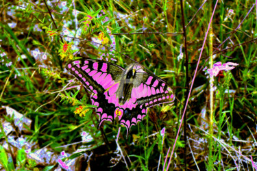 Photographie intitulée "Papillon rose" par Françoise Aubert-Moreau, Œuvre d'art originale, Photographie manipulée