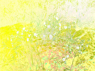 Photographie intitulée "Printemps en forêt" par Françoise Aubert-Moreau, Œuvre d'art originale, Photographie numérique