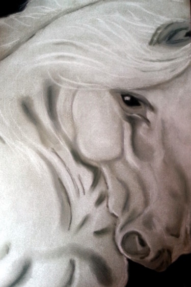 Dessin intitulée "cheval-pastel-" par Francoise Bontemps, Œuvre d'art originale, Pastel