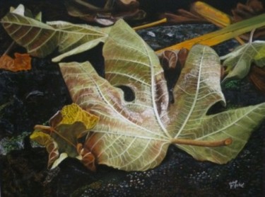 Peinture intitulée "Feuille de Figuier" par Françoise Mahe, Œuvre d'art originale, Huile