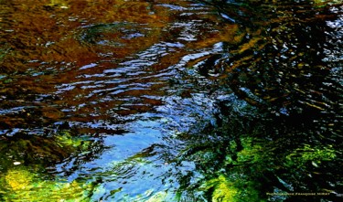 Photographie intitulée "Reflets verts et bl…" par Françoise Miray, Œuvre d'art originale, Photographie numérique