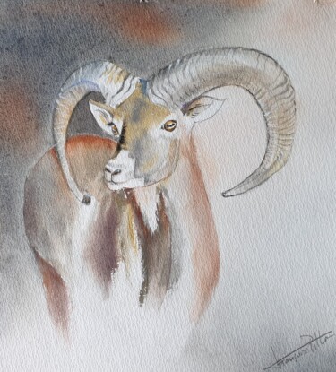 Painting titled "le mouflon" by Françoise Pillou, Original Artwork, Watercolor