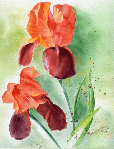 Painting titled "Iris brun orangé" by Françoise Renou, Original Artwork, Watercolor