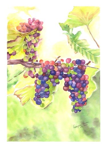 Peinture intitulée "Raisins" par Françoise Renou, Œuvre d'art originale, Aquarelle