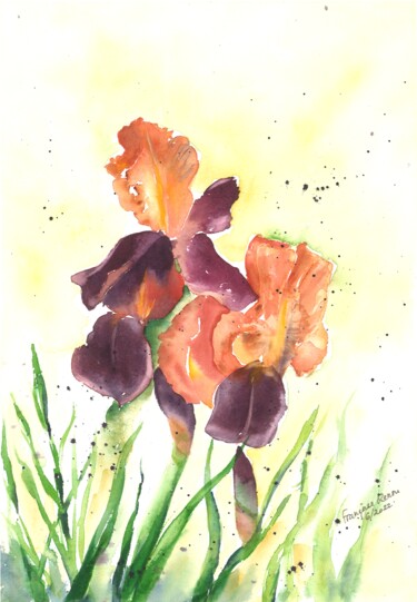 제목이 "Délicats iris"인 미술작품 Françoise Renou로, 원작, 수채화