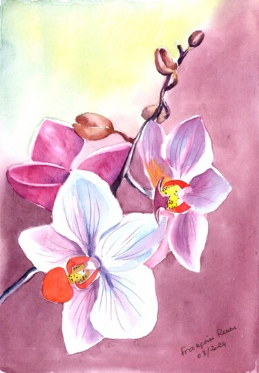 Painting titled "Orchidées roses" by Françoise Renou, Original Artwork, Watercolor