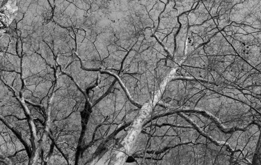 Photographie intitulée "Tous les chemins mè…" par Françoise Van Den Broeck, Œuvre d'art originale