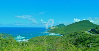 Photographie intitulée "Saint Kitts Terre s…" par Frandiodore, Œuvre d'art originale