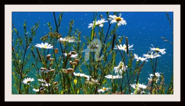 Photographie intitulée "Au bord du lac." par Frandiodore, Œuvre d'art originale, Photographie numérique