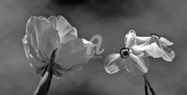 Photographie intitulée "Ballet Floral" par Frandiodore, Œuvre d'art originale, Photographie numérique
