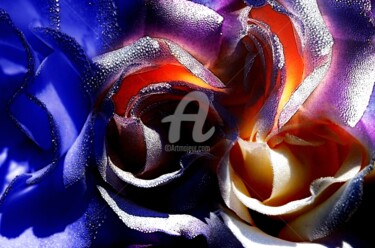 Arts numériques intitulée "Rose en sucre" par Frandiodore, Œuvre d'art originale, Peinture numérique