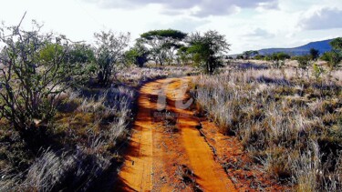 Photographie intitulée "Savane Lumineuse" par Frandiodore, Œuvre d'art originale