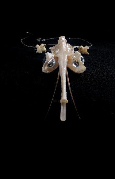 Design / Projektowanie użytkowe zatytułowany „Necklace 'lightbody'” autorstwa Frank Muller, Oryginalna praca, Biżuteria