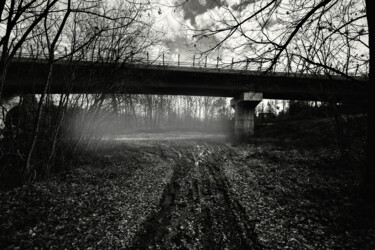 Photography titled "Landscape with Brid…" by Frank Verreyken, Original Artwork, Digital Photography